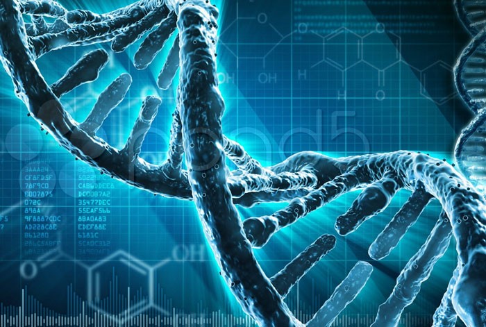 Biologie moléculaire Biologie_moleculaire_2026